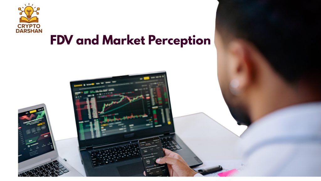 FDV and Market Perception