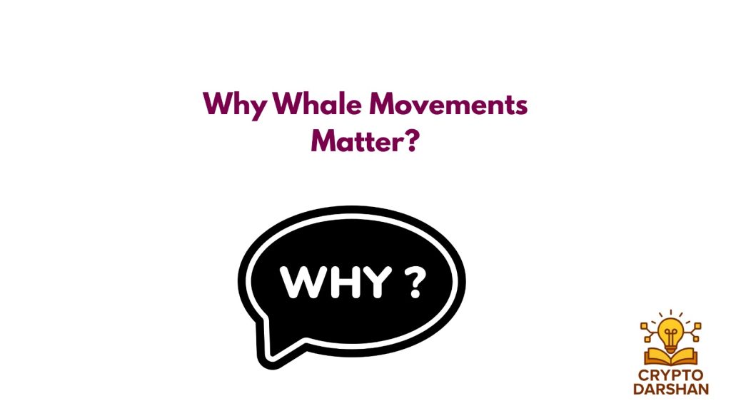 Why Whale Movements Matter
