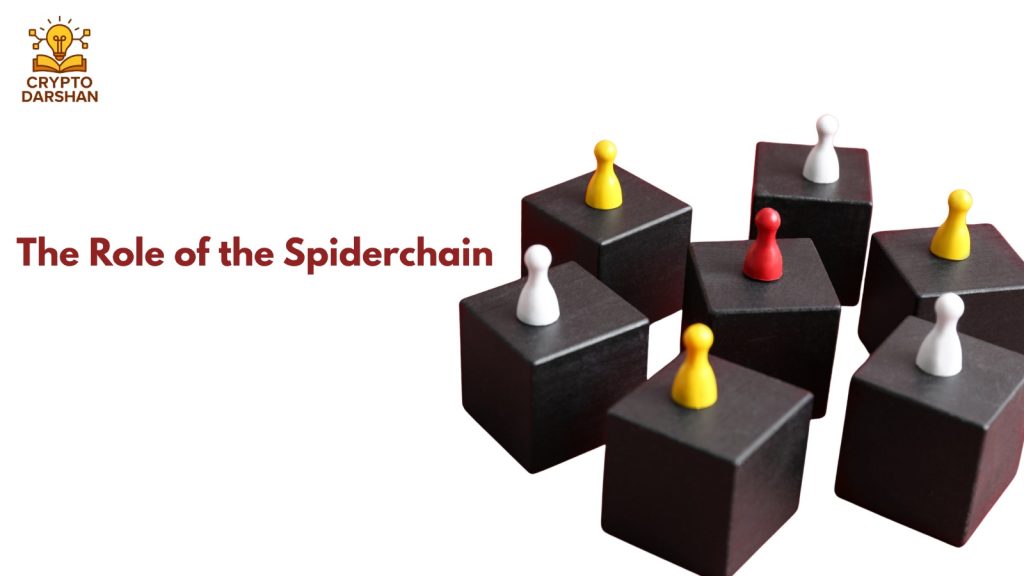 The Role of the Spiderchain