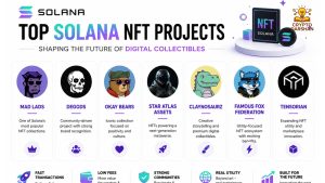 Top Solana NFT Projects Shaping the Future of Digital Collectibles